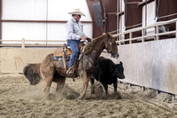 Panhandle Ranch Horse~Kimball NE 6-13-2015