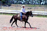 Panhandle Ranch Horse 7-26-2014 Bridgeport Ne