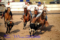 AA Feeds Ranch Rodeo~Team Roping 7-23-2016