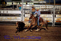 Double A Feeds WSRRA Ranch Rodeo 7-23-2016 Bridgeport NE