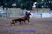 AA Feeds Ranch Rodeo~Ladies Steer Stop 7-23-2016