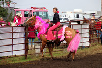 Cowgirls for a Cure Sept 9 2023  Beard Arena, Menoken ND.