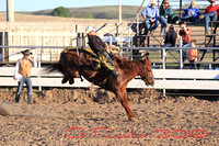 Double A Feeds WSRRA Ranch Broncs Memorial Day Bash 5-27-19 Quick Edits
