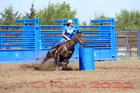 NBHA Ne05 Potter Ne 8-15-2020 Open 1st run Quick Edits