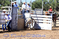 Panhandle Bull Competition & Riding Bridgeport NE 8-16-2014